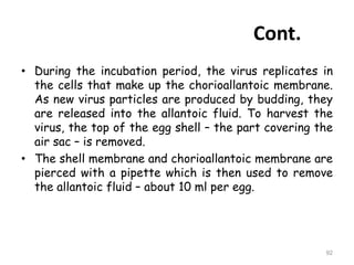 92
Cont.
• During the incubation period, the virus replicates in
the cells that make up the chorioallantoic membrane.
As new virus particles are produced by budding, they
are released into the allantoic fluid. To harvest the
virus, the top of the egg shell – the part covering the
air sac – is removed.
• The shell membrane and chorioallantoic membrane are
pierced with a pipette which is then used to remove
the allantoic fluid – about 10 ml per egg.
 