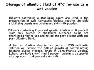 Storage of allantoic fluid at 4°C for use as a
wet vaccine
Diluents containing a stabilizing agent are used in the
preparation of wet Newcastle disease vaccine. Suitable
stabilizing agents are gelatin and skim milk powder.
Diluents containing 2 percent gelatin solution or 8 percent
skim milk powder in phosphate buffered saline are
sterilized prior to use and mixed one part diluent with one
part allantoic fluid.
A further dilution step in two parts of PSG antibiotic
solution will reduce the risk of growth of contaminating
bacteria during storage. Trials at John Francis Virology
Laboratory have shown that 1 percent gelatin is a superior
storage agent to 4 percent skim milk.
 