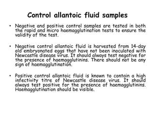 Control allantoic fluid samples
• Negative and positive control samples are tested in both
the rapid and micro haemagglutination tests to ensure the
validity of the test.
• Negative control allantoic fluid is harvested from 14-day
old embryonated eggs that have not been inoculated with
Newcastle disease virus. It should always test negative for
the presence of haemagglutinins. There should not be any
sign of haemagglutination.
• Positive control allantoic fluid is known to contain a high
infectivity titre of Newcastle disease virus. It should
always test positive for the presence of haemagglutinins.
Haemagglutination should be visible.
 