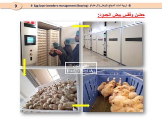 8
-
‫البياض‬ ‫الدجاج‬ ‫أمات‬ ‫تربية‬
(
‫الرعاية‬
)
8- Egg layer breeders management (Rearing)
9
‫بيض‬ ‫وفقس‬ ‫حضن‬
‫الجدود‬
:
‫دنون‬ ‫مفقس‬
‫دمشق‬ ‫ريف‬
(
‫الكسوة‬
)
 
