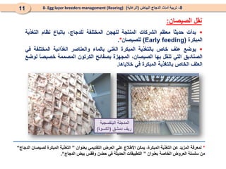 
‫بدأت‬
ً
‫ا‬‫حديث‬
‫معظم‬
‫الشركات‬
‫المنتجة‬
‫للهجن‬
‫المختلفة‬
،‫للدجاج‬
‫باتباع‬
‫نظام‬
‫التغذية‬
‫المبكرة‬
(
Early feeding
)
‫للصيصان‬
*
.

‫يوضع‬
‫علف‬
‫خاص‬
‫بالتغذية‬
‫المبكرة‬
‫الغني‬
‫بالماء‬
‫والعناصر‬
‫الغذائية‬
‫المختلفة‬
‫في‬
‫الصناديق‬
‫التي‬
‫تنقل‬
‫بها‬
،‫الصيصان‬
‫المجهزة‬
‫بصفائح‬
‫الكرتون‬
‫المصممة‬
ً
‫ا‬‫خصيص‬
‫لوضع‬
‫العلف‬
‫الخاص‬
‫بالتغذية‬
‫المبكرة‬
‫في‬
‫خالياها‬
.
8
-
‫البياض‬ ‫الدجاج‬ ‫أمات‬ ‫تربية‬
(
‫الرعاية‬
)
8- Egg layer breeders management (Rearing)
11
‫الصيصان‬ ‫نقل‬
:
*
‫بعنوان‬ ‫التقديمي‬ ‫العرض‬ ‫على‬ ‫اإلطالع‬ ‫يمكن‬ ،‫المبكرة‬ ‫التغذية‬ ‫عن‬ ‫المزيد‬ ‫لمعرفة‬
”
‫الدجاج‬ ‫لصيصان‬ ‫المبكرة‬ ‫التغذية‬
“
‫بعنوان‬ ‫الخاصة‬ ‫العروض‬ ‫سلسلة‬ ‫من‬
”
‫الدجاج‬ ‫بيض‬ ‫وفقس‬ ‫حضن‬ ‫في‬ ‫الحديثة‬ ‫التطبيقات‬
“
.
‫البنفسجية‬ ‫المدجنة‬
‫دمشق‬ ‫ريف‬
(
‫الكسوة‬
)
 