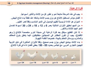 8
-
‫البياض‬ ‫الدجاج‬ ‫أمات‬ ‫تربية‬
(
‫الرعاية‬
)
8- Egg layer breeders management (Rearing)
18
‫الرعاية‬ ‫فترة‬
:

‫يجب‬
‫في‬
‫هذه‬
‫المرحلة‬
‫متابعة‬
‫نمو‬
‫و‬
‫تطور‬
‫كل‬
‫من‬
‫اإلناث‬
‫والذكور‬
ً
‫ا‬‫أسبوعي‬
.

‫أفضل‬
‫مؤشر‬
‫لمستقبل‬
‫اإلنتاج‬
‫هو‬
‫وزن‬
‫جسم‬
‫اإلناث‬
‫وشكله‬
‫عند‬
‫نقطة‬
‫بدء‬
‫إنتاج‬
‫البيض‬
.

‫الميزان‬
‫هو‬
‫األداة‬
‫الرئيسية‬
‫لتقييم‬
‫الوصول‬
‫إلى‬
‫النمو‬
‫المناسب‬
ً
‫ا‬‫وفق‬
‫لعمر‬
‫الطيور‬
.

‫من‬
‫المهم‬
‫تحقيق‬
‫األوزان‬
‫المثالية‬
‫بعمر‬
6
‫و‬
12
‫و‬
18
‫و‬
24
‫و‬
30
‫ًا‬
‫ع‬‫أسبو‬
‫لضمان‬
‫النمو‬
‫الجيد‬
‫لإلناث‬
‫والذكور‬
.

‫إذا‬
‫كان‬
‫القطيع‬
‫سينقل‬
‫بعد‬
‫فترة‬
‫الرعاية‬
‫إلى‬
‫مدجنة‬
‫أخرى‬
‫مخصصة‬
‫لإلنتاج‬
(
‫وهو‬
‫األفضل‬
)
،
‫يجب‬
‫أن‬
‫تكون‬
‫الحظائر‬
‫في‬
‫المدجنتين‬
،‫متطابقتين‬
‫فيما‬
‫يتعلق‬
‫بنوع‬
‫المعالف‬
‫والمشارب‬
‫ووسائل‬
‫التحكم‬
،‫بالبيئة‬
ً
‫ا‬‫خصوص‬
‫أنظمة‬
‫التهوية‬
.

‫بدء‬
‫اإلناث‬
‫بوضع‬
‫البيض‬
‫ب‬
‫وزن‬
‫جسم‬
‫صحيح‬
،
ً
‫ا‬‫وفق‬
‫لألوزان‬
‫المذكورة‬
‫في‬
‫دليل‬
‫التربية‬
‫للهجين‬
‫التجاري‬
،‫المربى‬
‫مع‬
‫تجانس‬
‫بحدود‬
85
-
90
٪
‫يعطي‬
‫أفضل‬
‫أداء‬
‫في‬
‫فترة‬
‫اإلنتاج‬
.
1
‫اسبوع‬
3
‫اسابيع‬
6
‫اسابيع‬
12
‫اسبوع‬
18
‫اسبوع‬
24
‫اسبوع‬
 