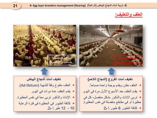 8
-
‫البياض‬ ‫الدجاج‬ ‫أمات‬ ‫تربية‬
(
‫الرعاية‬
)
8- Egg layer breeders management (Rearing)
21
‫العلف‬
‫والتعليف‬
:
‫البياض‬ ‫الدجاج‬ ‫أمات‬ ‫تعليف‬

‫للشهية‬ ً‫ا‬‫وفق‬ ‫مفتوح‬ ‫العلف‬
(
Ad-libitum
.)

‫اليوم‬ ‫في‬ ‫مرات‬ ‫عدة‬ ‫العلف‬ ‫يقدم‬
.

‫الحظيرة‬ ‫نفس‬ ‫في‬ ً
‫ا‬‫مع‬ ‫تربى‬ ‫والذكور‬ ‫اإلناث‬
.

‫الرعاية‬ ‫فترة‬ ‫في‬ ‫الحظيرة‬ ‫في‬ ‫الطيور‬ ‫كثافة‬
10
-
12
‫طير‬

‫م‬
2
.
‫الفروج‬ ‫أمات‬ ‫تعليف‬
(
‫الالحم‬ ‫الدجاج‬
)

ً
‫ا‬‫صباح‬ ‫واحدة‬ ‫بوجبة‬ ‫ويقدم‬ ‫مقنن‬ ‫العلف‬
.

‫اليوم‬ ‫في‬ ‫مرة‬ ‫األول‬ ‫األسبوع‬ ‫بعد‬ ‫العلف‬ ‫يقدم‬
.

‫في‬ ‫كل‬ ،‫منفصل‬ ‫بشكل‬ ‫والذكور‬ ‫اإلناث‬ ‫تربى‬
‫الحظيرة‬ ‫نفس‬ ‫في‬ ‫منفصلة‬ ‫مقاطع‬ ‫في‬ ‫أو‬ ‫حظيرة‬
.

‫الطيور‬ ‫كثافة‬
6
‫طيور‬

‫م‬
2
‫البنفسجية‬ ‫المدجنة‬
‫دمشق‬ ‫ريف‬
(
‫الكسوة‬
)
‫الحمراء‬ ‫المدجنة‬
‫دمشق‬ ‫ريف‬
(
‫الكسوة‬
)
‫ابيض‬ ‫بياض‬ ‫امات‬ ‫فروج‬ ‫امات‬
 