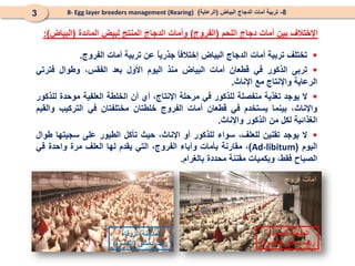 ‫اللحم‬ ‫دجاج‬ ‫أمات‬ ‫بين‬ ‫اإلختالف‬
(
‫الفروج‬
)
‫المائدة‬ ‫لبيض‬ ‫المنتج‬ ‫الدجاج‬ ‫وأمات‬
(
‫البياض‬
:)
8
-
‫البياض‬ ‫الدجاج‬ ‫أمات‬ ‫تربية‬
(
‫الرعاية‬
)
8- Egg layer breeders management (Rearing)
3

‫تختلف‬
‫تربية‬
‫أمات‬
‫الدجاج‬
‫البياض‬
ً
‫ا‬‫إختالف‬
ً
‫ا‬‫جذري‬
‫عن‬
‫تربية‬
‫أمات‬
‫الفروج‬
.

‫تربى‬
‫الذكور‬
‫في‬
‫قطعان‬
‫أمات‬
‫البياض‬
‫منذ‬
‫اليوم‬
‫األول‬
‫بعد‬
،‫الفقس‬
‫وطوال‬
‫فترتي‬
‫الرعاية‬
‫واإلنتاج‬
‫مع‬
‫اإلناث‬
.

‫ال‬
‫يوجد‬
‫تغذية‬
‫منفصلة‬
‫للذكور‬
‫في‬
‫مرحلة‬
،‫اإلنتاج‬
‫أي‬
‫أن‬
‫الخلطة‬
‫العلفية‬
‫موحدة‬
‫للذكور‬
،‫واإلناث‬
‫بينما‬
‫يستخدم‬
‫في‬
‫قطعان‬
‫أمات‬
‫الفروج‬
‫خلطتان‬
‫مختلفتان‬
‫في‬
‫التركيب‬
‫والقيم‬
‫الغذائية‬
‫لكل‬
‫من‬
‫الذكور‬
‫واإلناث‬
.

‫ال‬
‫يوجد‬
‫تقنين‬
،‫للعلف‬
‫سواء‬
‫للذكور‬
‫أو‬
،‫اإلناث‬
‫حيث‬
‫تأكل‬
‫الطيور‬
‫على‬
‫سجيتها‬
‫طوال‬
‫اليوم‬
(
Ad-libitum
)
،
‫مقارنة‬
‫بأمات‬
‫وآباء‬
،‫الفروج‬
‫التي‬
‫يقدم‬
‫لها‬
‫العلف‬
‫مرة‬
‫واحدة‬
‫في‬
‫الصباح‬
،‫فقط‬
‫وبكميات‬
‫مقننة‬
‫محددة‬
‫بالغرام‬
.
‫الحمراء‬ ‫المدجنة‬
‫دمشق‬ ‫ريف‬
(
‫الكسوة‬
)
‫ابيض‬ ‫بياض‬ ‫امات‬ ‫فروج‬ ‫امات‬
‫الزرقاء‬ ‫المدجنة‬
‫دمشق‬ ‫ريف‬
(
‫الكسوة‬
)
 
