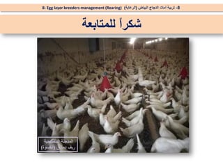 ‫للمتابعة‬ ً
‫ا‬‫شكر‬
8
-
‫البياض‬ ‫الدجاج‬ ‫أمات‬ ‫تربية‬
(
‫الرعاية‬
)
8- Egg layer breeders management (Rearing)
‫البنفسجية‬ ‫المدجنة‬
‫دمشق‬ ‫ريف‬
(
‫الكسوة‬
)
 