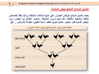 ‫لبيض‬ ‫المنتج‬ ‫الدجاج‬ ‫تأصيل‬
‫المائدة‬
:
8
-
‫البياض‬ ‫الدجاج‬ ‫أمات‬ ‫تربية‬
(
‫الرعاية‬
)
8- Egg layer breeders management (Rearing)
4
‫يعتمد‬
‫تأصيل‬
‫الدجاج‬
‫البياض‬
‫التجاري‬
‫على‬
‫دمج‬
‫ال‬
‫سالالت‬
‫المنتقاة‬
ً
‫ا‬‫وراثي‬
ً
‫ا‬‫وفق‬
‫لخصائص‬
‫شكلية‬
‫وإنتاجية‬
‫مختلفة‬
،
‫مثل‬
‫حجم‬
‫ووزن‬
،‫الدجاجة‬
‫مستوى‬
‫اإلنتاج‬
‫من‬
،‫البيض‬
‫وزن‬
،‫البيض‬
‫قساوة‬
‫قشر‬
،‫البيض‬
‫معامل‬
‫تحويل‬
‫العلف‬
،
‫نسبة‬
،‫النفوق‬
‫مقاومة‬
‫األمراض‬
...
‫الخ‬
.
‫مخطط‬
‫المائدة‬ ‫لبيض‬ ‫المنتج‬ ‫الدجاج‬ ‫هجن‬ ‫تأصيل‬
‫التجاري‬
.
‫النقية‬ ‫السالالت‬
‫الجدود‬
‫واألمات‬ ‫اآلباء‬
‫البياض‬ ‫الدجاج‬
 