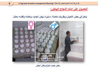 8
-
‫البياض‬ ‫الدجاج‬ ‫أمات‬ ‫تربية‬
(
‫الرعاية‬
)
8- Egg layer breeders management (Rearing)
8
ً
‫ا‬‫محلي‬ ‫وفقسه‬ ‫وحضنه‬ ‫الجدود‬ ‫بيض‬ ‫استيراد‬ ،‫خاصة‬ ‫وبظروف‬ ‫األحيان‬ ‫بعض‬ ‫في‬ ‫يمكن‬
.
‫أبيض‬ ‫بياض‬ ‫دجاج‬ ‫جدود‬ ‫بيض‬
‫دنون‬ ‫مفقس‬
‫دمشق‬ ‫ريف‬
(
‫الكسوة‬
)
‫على‬ ‫الحصول‬
‫البياض‬ ‫الدجاج‬ ‫امات‬
:
 