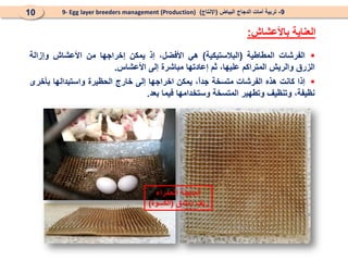 ‫باألعشاش‬ ‫العناية‬
:

‫الفرشات‬
‫المطاطية‬
(
‫البالستيكية‬
)
‫هي‬
،‫األفضل‬
‫إذ‬
‫يمكن‬
‫إخراجها‬
‫من‬
‫األعشاش‬
‫وإزالة‬
‫الزرق‬
‫والريش‬
‫المتراكم‬
،‫عليها‬
‫ثم‬
‫إعادتها‬
‫مباشرة‬
‫إلى‬
‫األعشاس‬
.

‫إذا‬
‫كانت‬
‫هذه‬
‫الفرشات‬
‫متسخة‬
،ً
‫ا‬‫جد‬
‫يمكن‬
‫اخراجها‬
‫إلى‬
‫خارج‬
‫الحظيرة‬
‫واستبدالها‬
‫بأخرى‬
،‫نظيفة‬
‫وتنظيف‬
‫وتطهير‬
‫المتسخة‬
‫وستخدامها‬
‫فيما‬
‫بعد‬
.
9
-
‫البياض‬ ‫الدجاج‬ ‫أمات‬ ‫تربية‬
(
‫اإلنتاج‬
)
9- Egg layer breeders management (Production)
10
‫الحمراء‬ ‫المدجنة‬
‫دمشق‬ ‫ريف‬
(
‫الكسوة‬
)
 