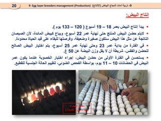 
‫يبدأ‬
‫إنتاج‬
‫البيض‬
‫بعمر‬
18
–
19
‫أسبوع‬
(
120
–
133
‫يوم‬
)
.

‫اليتم‬
‫حضن‬
‫البيض‬
‫المنتج‬
‫حتى‬
‫نهاية‬
‫عمر‬
22
،‫أسبوع‬
‫ويباع‬
‫كبيض‬
،‫المائدة‬
‫ألن‬
‫الصيصان‬
‫الناتجة‬
‫عن‬
‫مثل‬
‫هذا‬
‫البيض‬
‫ستكون‬
‫صغيرة‬
،‫وضعيفة‬
‫وفرصتها‬
‫للبقاء‬
‫على‬
‫قيد‬
‫الحياة‬
‫محدودة‬
.

‫في‬
‫الفترة‬
‫من‬
‫بداية‬
‫عمر‬
23
‫وحتى‬
‫نهاية‬
‫عمر‬
25
،‫أسبوع‬
‫يتم‬
‫اختيار‬
‫البيض‬
‫الصالح‬
‫للحضن‬
،‫والفقس‬
‫شريطة‬
‫أن‬
‫ال‬
‫يقل‬
‫وزن‬
‫البيضة‬
‫عن‬
50
‫غ‬
.

‫يستحسن‬
‫في‬
‫الفترة‬
‫األولى‬
‫من‬
‫حضن‬
،‫البيض‬
‫إجراء‬
‫اختبار‬
‫الخصوبة‬
‫عندما‬
‫يكون‬
‫عمر‬
‫البيض‬
‫في‬
‫الحضانات‬
10
–
11
،‫يوم‬
‫بواسطة‬
‫الفحص‬
،‫الضوئي‬
‫لتقييم‬
‫الحالة‬
‫الجنسية‬
‫للقطيع‬
.
‫البيض‬ ‫إنتاج‬
:
9
-
‫البياض‬ ‫الدجاج‬ ‫أمات‬ ‫تربية‬
(
‫اإلنتاج‬
)
9- Egg layer breeders management (Production)
20
‫الحمراء‬ ‫مفقس‬
‫دمشق‬ ‫ريف‬
(
‫الكسوة‬
)
 