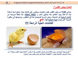 ‫الفقس‬ ‫ببيض‬ ‫العناية‬
:*
9
-
‫البياض‬ ‫الدجاج‬ ‫أمات‬ ‫تربية‬
(
‫اإلنتاج‬
)
9- Egg layer breeders management (Production)
22
‫حوالي‬
95
%
‫من‬
‫بيض‬
‫الفقس‬
‫يكون‬
،ً
‫ا‬‫مخصب‬
‫ويحتوي‬
‫على‬
‫كائنات‬
،‫حية‬
‫صغيرة‬
ً
‫ا‬‫جد‬
‫وهشة‬
ً
‫ا‬‫جد‬
!!
‫لذلك‬
‫يجب‬
‫التعامل‬
‫معه‬
‫بمنتهى‬
‫الحذر‬
‫و‬
‫النظافة‬
‫المطلقة‬
،
‫منذ‬
‫لحظة‬
‫خروجه‬
‫من‬
‫األمات‬
‫السليمة‬
‫في‬
،‫المدجنة‬
‫وحتى‬
‫خروج‬
‫الصيصان‬
‫منه‬
‫في‬
،‫المفقس‬
‫ووصولها‬
‫إلى‬
‫حظيرة‬
،‫التربية‬
‫التي‬
‫تؤمن‬
‫البيئة‬
‫المثالية‬
‫لهذه‬
‫الرائعة‬ ‫الحية‬ ‫الكائنات‬
!!!
*
‫رقم‬ ‫التقديمي‬ ‫العرض‬ ‫على‬ ‫اإلطالع‬ ‫يرجى‬ ،‫الموضوع‬ ‫بهذا‬ ‫للتوسع‬
1
‫بعنوان‬
”
‫وحضنه‬ ‫الفقس‬ ‫ببيض‬ ‫العناية‬
“
‫من‬
‫بعنوان‬ ‫التقديمية‬ ‫العروض‬ ‫سلسلة‬
”
‫الدجاج‬ ‫بيض‬ ‫وفقس‬ ‫حضن‬ ‫في‬ ‫الحديثة‬ ‫التطبيقات‬
“
.
 