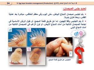 
‫يتم‬
‫تجنيس‬
‫صيصان‬
‫الدجاج‬
،‫البياض‬
‫حتى‬
‫اليوم‬
‫وفي‬
‫معظم‬
،‫المفاقس‬
‫مباشرة‬
‫بعد‬
‫عملية‬
،‫الفقس‬
‫وبعدة‬
‫طرق‬
‫يدوية‬
.

‫إذ‬
‫يتم‬
‫التجنيس‬
ً
‫ا‬‫وفق‬
،‫للهجين‬
‫إما‬
‫عن‬
‫طريق‬
‫فتحة‬
،‫المجمع‬
‫أو‬
‫طول‬
‫َش‬
‫ي‬‫الر‬
‫األساسية‬
‫في‬
‫اجنحة‬
‫الصيصان‬
‫الناتجة‬
‫من‬
‫أمات‬
‫الدجاج‬
،‫األبيض‬
‫أو‬
‫لون‬
‫الزغب‬
‫في‬
‫الصيصان‬
‫الناتجة‬
‫من‬
‫أمات‬
‫الدجاج‬
‫البني‬
.
‫؟‬
‫المجمع‬ ‫فتحة‬ ‫طريق‬ ‫عن‬ ‫التجنيس‬
9
-
‫البياض‬ ‫الدجاج‬ ‫أمات‬ ‫تربية‬
(
‫اإلنتاج‬
)
9- Egg layer breeders management (Production)
24
‫تحديد‬
‫جنس‬
‫الصيصان‬
:
 