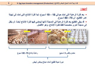 9- Egg layer breeders management (production) (تربية أمات الدجاج البياض  (الإنتاج | PPT
