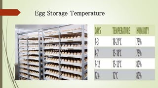 Egg Storage Temperature
 