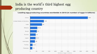 India is the world's third highest egg
producing country
 