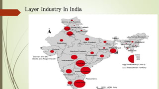 Layer Industry In India
 