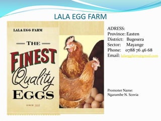 LALA EGG FARM
ADRESS:
Province: Easten
District: Bugesera
Sector: Mayange
Phone: 0788 76 46 68
Email: lalaeggfarm@gmail.com
Promoter Name:
Ngarambe N. Scovia
 