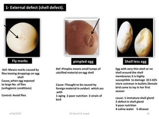 10
1- External defect (shell defect).
Fly marks
Def: Means marks caused by
flies leaving droppings on egg
shell
Cause: when egg exposed
to large No. of flies
(unhygienic conditions)
Control: Avoid flies
pimpled egg
Def :Pimples means small lumps of
calcified material on egg shell
Cause :Thought to be caused by
foreign material in oviduct which ass
.with
1-aging 2-poor nutrition 3-strain of
bird
Shell less egg
Egg with very thin shell or no
shell around the shell
membranes it is highly
susceptible to damage (0.5-6)%
more common in bullets (female
bird come to lay in her first
season
cause: 1-immature shell gland
2-defect in shell gland
3-poor nutrition
4-saline water 5-disease
4/18/2020 Dr.Dina A.B. Awad
 