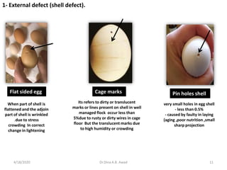 11
Flat sided egg
When part of shell is
flattened and the adjoin
part of shell is wrinkled
.due to stress
crowding In correct
change in lightening
Cage marks
Its refers to dirty or translucent
marks or lines present on shell in well
managed flock occur less than
5%due to rusty or dirty wires in cage
floor But the translucent marks due
to high humidity or crowding
very small holes in egg shell
- less than 0.5%
- caused by faulty in laying
(aging ,poor nutrition ,small
sharp projection
Pin holes shell
1- External defect (shell defect).
4/18/2020 Dr.Dina A.B. Awad
 