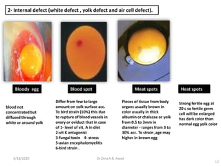13
2- Internal defect (white defect , yolk defect and air cell defect).
Blood spot
Differ from few to large
amount on yolk surface acc.
To bird strain (10%) this due
to rupture of blood vessels in
ovary or oviduct that in case
of 1- level of vit. A in diet
2-vit K antagonist
3-fungal toxin 4- stress
5-avian encephalomyelitis
6-bird strain .
Bloody egg
blood not
concentrated but
diffused through
white or around yolk
Pieces of tissue from body
organs usually brown in
color usually in thick
albumin or chalazae or yolk
from 0.5 to 3mm in
diameter - ranges from 3 to
30% acc. To strain ,age may
higher in brown egg
Meat spots Heat spots
Strong fertile egg at
20 c so fertile germ
cell will be enlarged
has dark color than
normal egg yolk color
4/18/2020 Dr.Dina A.B. Awad
 