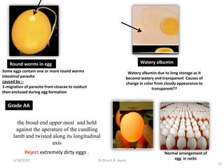 15
Round worms in egg
Some eggs contain one or more round worms
intestinal parasite
caused by :-
1-migration of parasite from cloacae to oviduct
then enclosed during egg formation
Watery albumin
Watery albumin due to long storage as it
become watery and transparent Causes of
change in color from cloudy appearance to
transparent??
Reject extremely dirty eggs .
the broad end upper most and hold
against the aperature of the candling
lamb and twisted along its longitudinal
axis
Grade AA
Normal arrangement of
egg in racks4/18/2020 Dr.Dina A.B. Awad
 