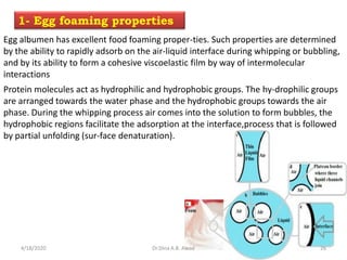 Egg albumen has excellent food foaming proper-ties. Such properties are determined
by the ability to rapidly adsorb on the air-liquid interface during whipping or bubbling,
and by its ability to form a cohesive viscoelastic film by way of intermolecular
interactions
1- Egg foaming properties
Protein molecules act as hydrophilic and hydrophobic groups. The hy-drophilic groups
are arranged towards the water phase and the hydrophobic groups towards the air
phase. During the whipping process air comes into the solution to form bubbles, the
hydrophobic regions facilitate the adsorption at the interface,process that is followed
by partial unfolding (sur-face denaturation).
4/18/2020 26Dr.Dina A.B. Awad
 