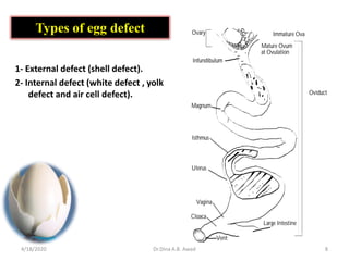 8
Types of egg defect
1- External defect (shell defect).
2- Internal defect (white defect , yolk
defect and air cell defect).
4/18/2020 Dr.Dina A.B. Awad
 