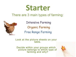 Starter
Look at the picture sheets on your
table.
Decide within your groups which
picture belongs to which type of
farming and why?
There are 3 main types of farming:
Intensive Farming
Organic Farming
Free Range Farming
 