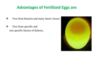 Advantages of Fertilized Eggs are
 Free from bacteria and many latent viruses.
 Free from specific and
non specific factors of defense.
 