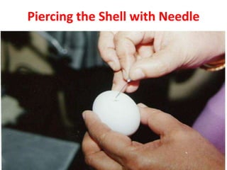 Piercing the Shell with Needle
 