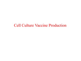 Cell Culture Vaccine Production
 