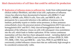 Ideal characteristics of cell lines that could be utilized for production
 Replication of influenza strains to sufficient titer. Aside from embryonated eggs,
chicken embryo fibroblasts, and other avian cells ,replication of influenza
viruses has otherwise been documented in hamster cells (BHK21-F and
HKCC), MDBK cells, PER.C6 cells, Vero cells, and MDCK cells. A
prerequisite for a successful infection is the addition of proteases to the
medium, preferably trypsin or similar serine proteases, as these proteases
extracellularly cleave the precursor protein of hemagglutinin (HA0) into active
hemagglutinin (HA1 and HA2). Only cleaved hemagglutinin leads to the
adsorption of the influenza viruses on cells with subsequent virus assimilation
into the cell, which leads to further replication. Of the various continuous
mammalian cell lines that have been adequately tested – including diploid cell
lines (MRC-5, WI-38, and FRhl-2) and continuous cell lines (PER.C6, NIH-
3T3, BHK, CHO, Vero and MDCK) – only Vero, PER.C6 and MDCK have
consistently yielded influenza viruses titers that are sufficiently high enough to
be considered commercially viable.
 