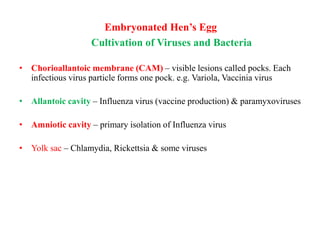 Embryonated Hen’s Egg
Cultivation of Viruses and Bacteria
• Chorioallantoic membrane (CAM) – visible lesions called pocks. Each
infectious virus particle forms one pock. e.g. Variola, Vaccinia virus
• Allantoic cavity – Influenza virus (vaccine production) & paramyxoviruses
• Amniotic cavity – primary isolation of Influenza virus
• Yolk sac – Chlamydia, Rickettsia & some viruses
 