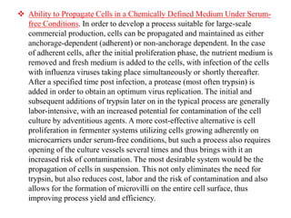 Ability to Propagate Cells in a Chemically Defined Medium Under Serum-
free Conditions. In order to develop a process suitable for large-scale
commercial production, cells can be propagated and maintained as either
anchorage-dependent (adherent) or non-anchorage dependent. In the case
of adherent cells, after the initial proliferation phase, the nutrient medium is
removed and fresh medium is added to the cells, with infection of the cells
with influenza viruses taking place simultaneously or shortly thereafter.
After a specified time post infection, a protease (most often trypsin) is
added in order to obtain an optimum virus replication. The initial and
subsequent additions of trypsin later on in the typical process are generally
labor-intensive, with an increased potential for contamination of the cell
culture by adventitious agents. A more cost-effective alternative is cell
proliferation in fermenter systems utilizing cells growing adherently on
microcarriers under serum-free conditions, but such a process also requires
opening of the culture vessels several times and thus brings with it an
increased risk of contamination. The most desirable system would be the
propagation of cells in suspension. This not only eliminates the need for
trypsin, but also reduces cost, labor and the risk of contamination and also
allows for the formation of microvilli on the entire cell surface, thus
improving process yield and efficiency.
 