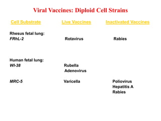 Viral Vaccines: Diploid Cell Strains
Cell Substrate Live Vaccines Inactivated Vaccines
Rhesus fetal lung:
FRhL-2 Rotavirus Rabies
Human fetal lung:
WI-38 Rubella
Adenovirus
MRC-5 Varicella Poliovirus
Hepatitis A
Rabies
 