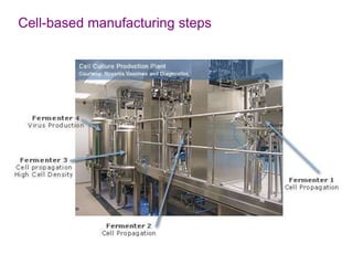 Cell-based manufacturing steps
 