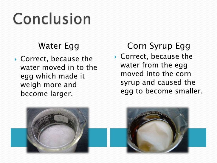 Madeline Rivera 816 Egg Osmosis Experiment