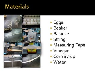  Eggs
 Beaker
 Balance
 String
 Measuring Tape
 Vinegar
 Corn Syrup
 Water
 