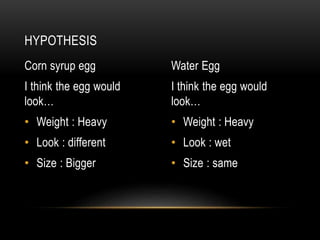 Corn syrup egg
I think the egg would
look…
• Weight : Heavy
• Look : different
• Size : Bigger
Water Egg
I think the egg would
look…
• Weight : Heavy
• Look : wet
• Size : same
HYPOTHESIS
 