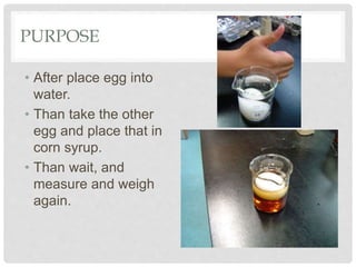 PURPOSE
• After place egg into
water.
• Than take the other
egg and place that in
corn syrup.
• Than wait, and
measure and weigh
again.
 