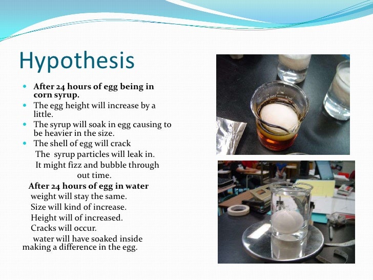 Egg osmosis experiment