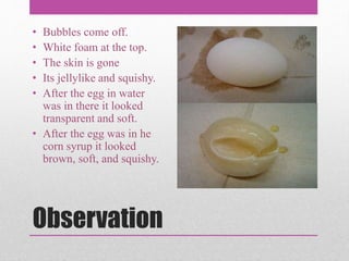 Observation
• Bubbles come off.
• White foam at the top.
• The skin is gone
• Its jellylike and squishy.
• After the egg in water
was in there it looked
transparent and soft.
• After the egg was in he
corn syrup it looked
brown, soft, and squishy.
 