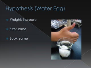    Weight: increase

   Size: same

   Look: same
 