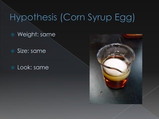    Weight: same

   Size: same

   Look: same
 