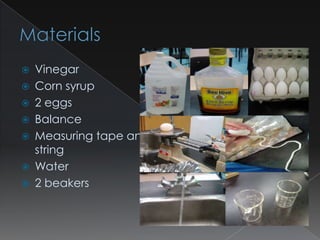    Vinegar
   Corn syrup
   2 eggs
   Balance
   Measuring tape and
    string
   Water
   2 beakers
 