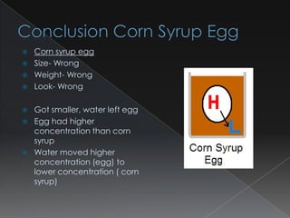    Corn syrup egg
   Size- Wrong
   Weight- Wrong
   Look- Wrong

   Got smaller, water left egg
   Egg had higher
    concentration than corn
    syrup
   Water moved higher
    concentration (egg) to
    lower concentration ( corn
    syrup)
 