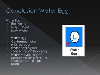 Water Egg
 Size- Wrong
 Weight- Right
 Look- Wrong


 Water Egg
 Got larger, water
  entered egg
 Water had higher
  concentration than egg
 Water moved higher
  concentration (water) to
  lower concentration
  (egg)
 