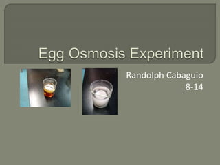 egg osmosis diagram