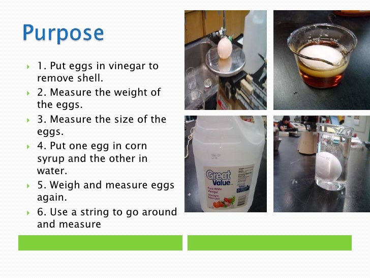 Karl 817 Egg osmosis experiment