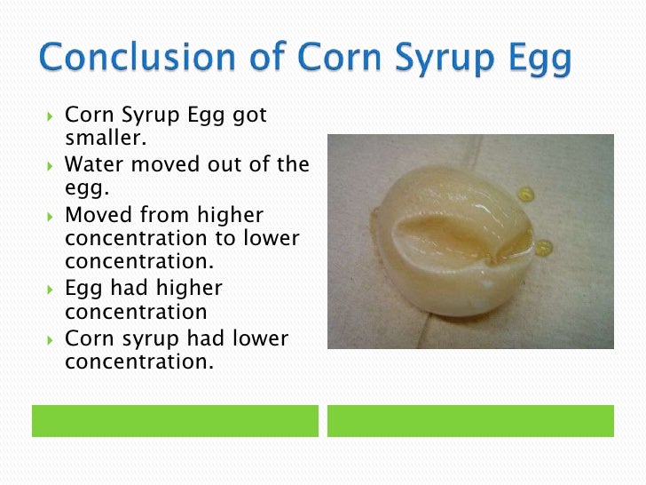 Karl 817 Egg osmosis experiment