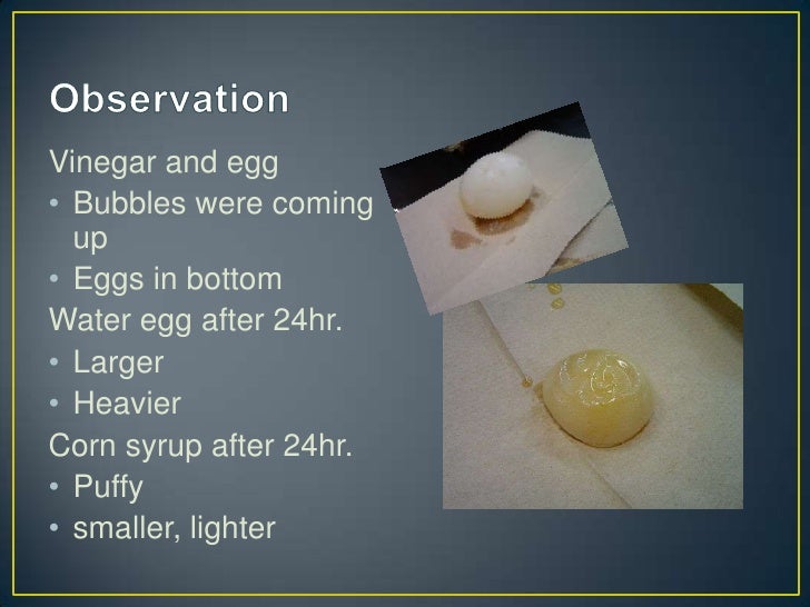 Rose's 817 Egg osmosis experiment